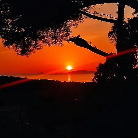 Le M * סיס-פור-לה-פלאז'