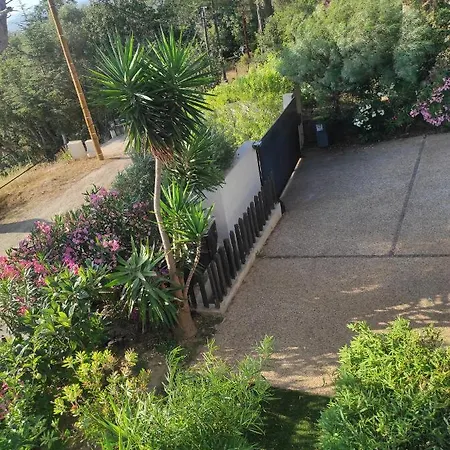 Le M סיס-פור-לה-פלאז'